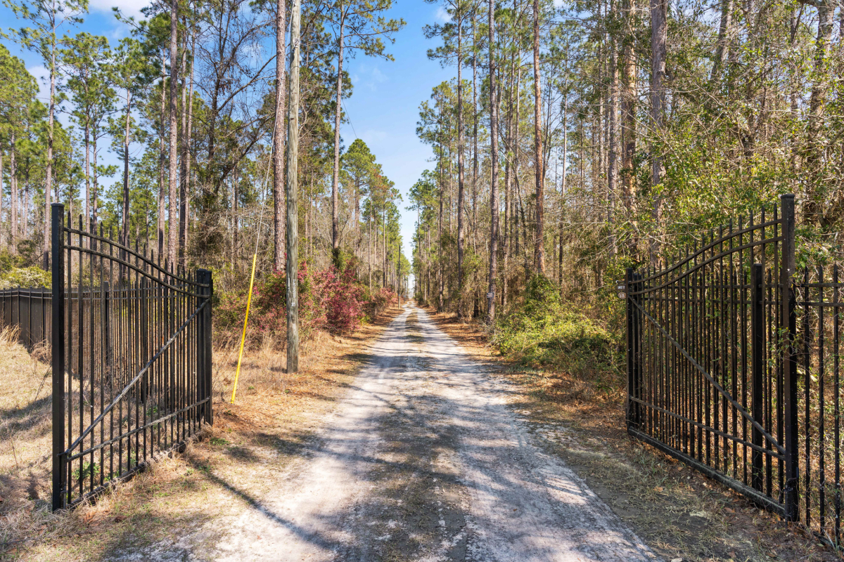 Spacious property with merchantable timber and modern homesteading upgrades