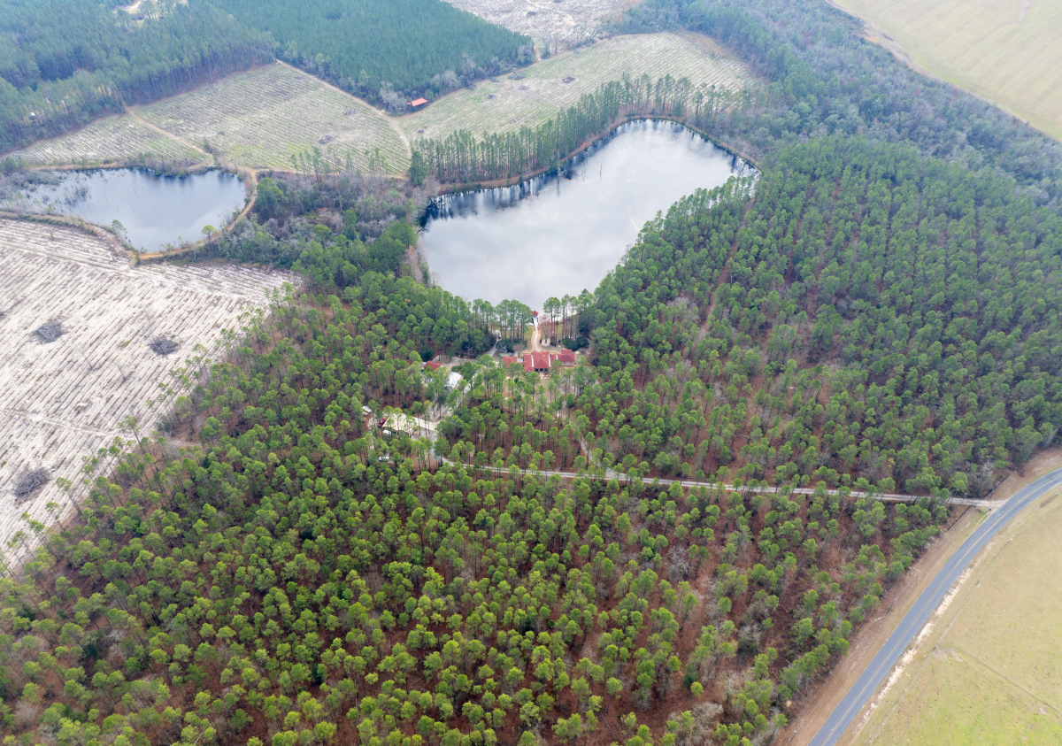 Aerial view of a luxury estate in Hoboken GA with a private lake and sustainable features