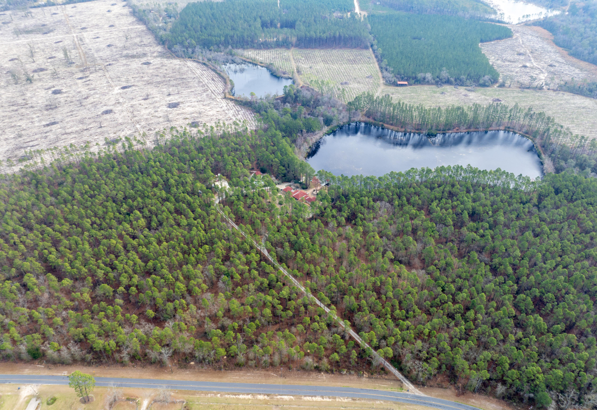 Aerial view of a luxury estate in Hoboken GA with a private lake and sustainable features